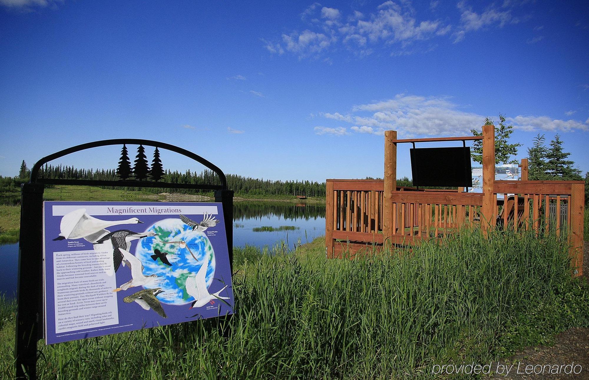Bear Lodge Fairbanks Exterior foto